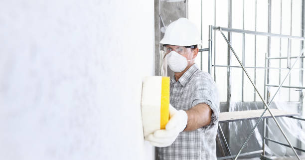 Best Mold Remediation for Healthcare Facilities in Port Lavaca, TX