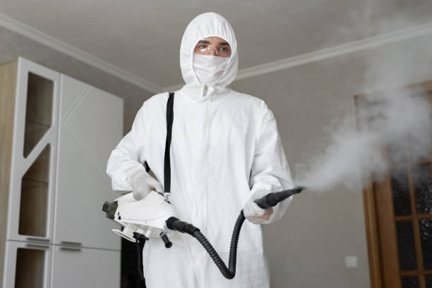 Trusted Port Lavaca, TX Mold Removal Experts